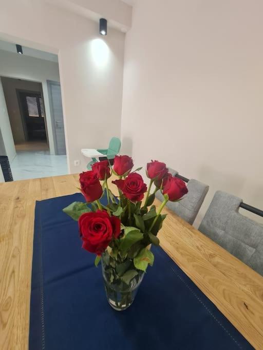 Mias Luxury Apartment Rijeka Zewnętrze zdjęcie